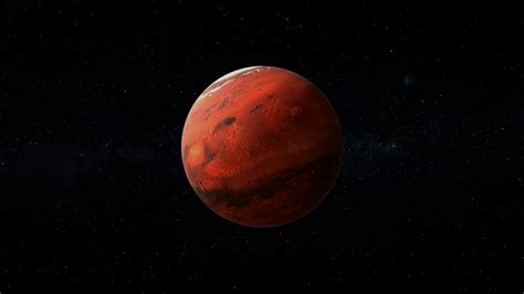 martian fish|Fish and chips on Mars: our research shows how .